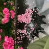 kpuihao12