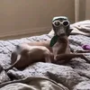 abcd_efgjh