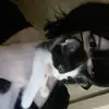 o5ilo