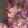 iren_dghu