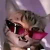 munchkin_cool