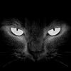 rizwan.zaidi42