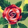 sadia.parveen90