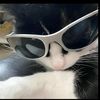 wleowleo_1222