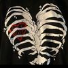 mena.tarek15