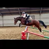 alexander.van.puy0