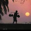 jago4673