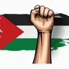 nour3605