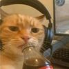 notcoolboy4