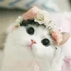 user856000442