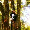 mr.cakep15