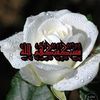 user3107791545815