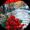 sabiha.rahman310