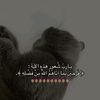 noorsaad449