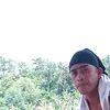 tanfox.3214paalam