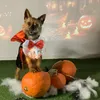 nala.y0