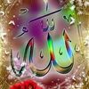 user8680759002800