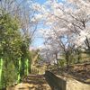 user2201259450334
