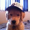 carltweaker