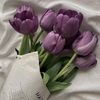 habiba.mostafa930