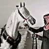 s_suk3