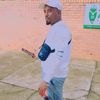 nsele445