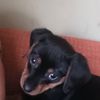 patricio.vargas12