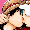 d.luffy17.19