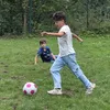 zaenaldien.alhamm