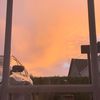 24k_nono131