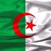 amine.brikci0