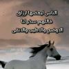 user7391132096116