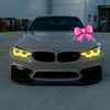bmw_fan395