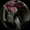 user9163500013465
