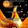 user382268720