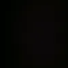 bruno_s113
