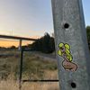 littlemonkey044