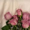 farida209_omar34