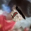 hieulabububububu