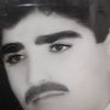 davod.alimardani
