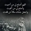 koky62445