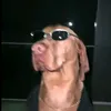 lyndel_brainrot