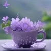 hng.yn0167