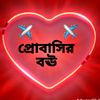 amitomar3745