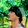 jafar.sangari