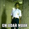 m.lutfi572