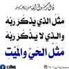 user4039816951781