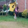 danuboy13_