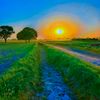 پینڈو راجپوت🦋🌳🌾