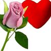user7684567976382